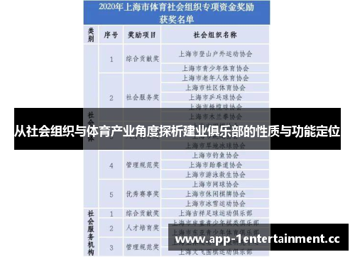 从社会组织与体育产业角度探析建业俱乐部的性质与功能定位 从社会组织与体育产业角度探析建业俱乐部的性质与功能定位